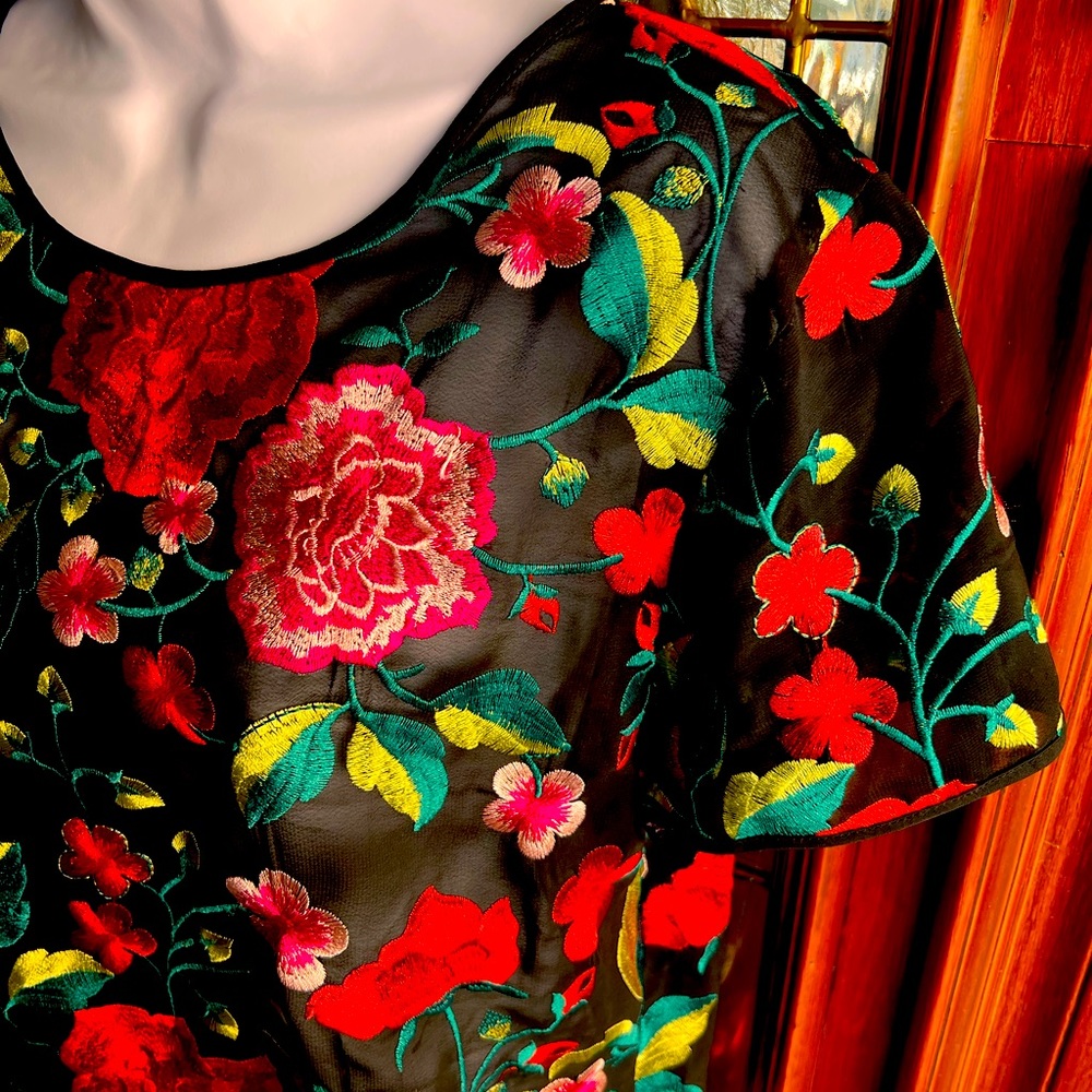 Anthropologie HD in Paris red rose lace embroidered top